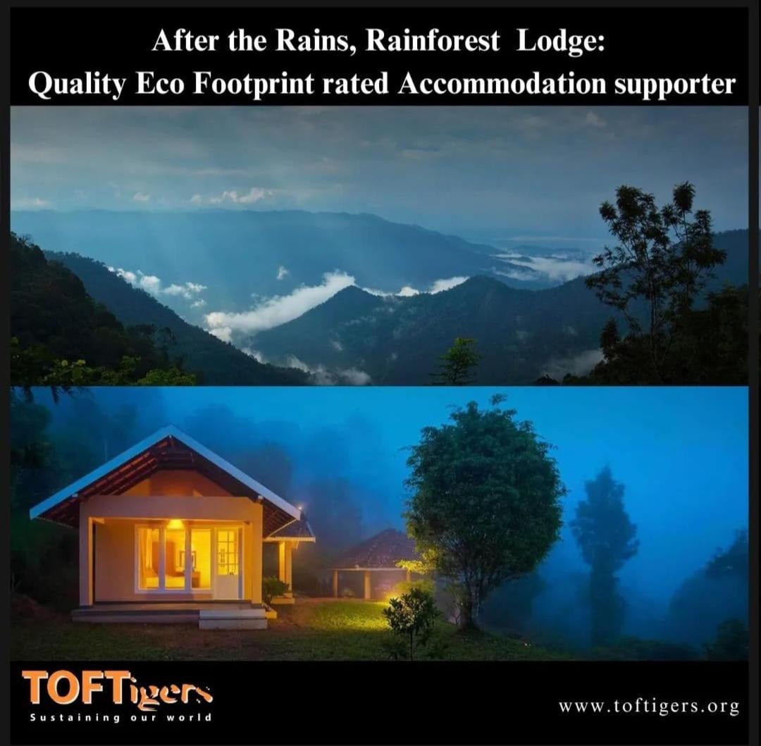 After The Rains - Rainforest Lodge Meppādi Eksteriør bilde
