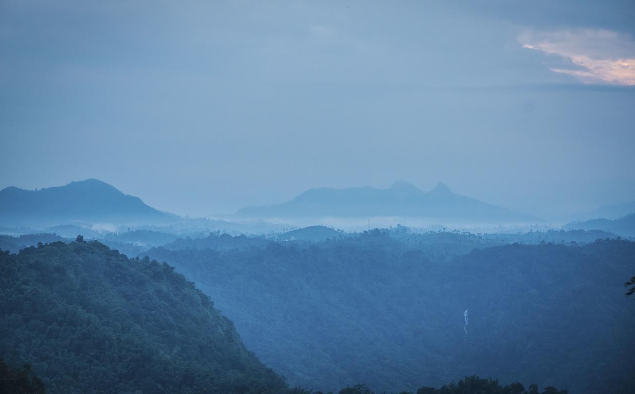 After The Rains - Rainforest Lodge Meppādi Eksteriør bilde